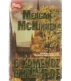 Ο ΧΑΜΕΝΟΣ ΘΗΣΑΥΡΟΣ Ο ΧΑΜΕΝΟΣ ΘΗΣΑΥΡΟΣ